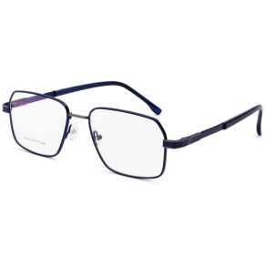 Оправа E 6304 c6