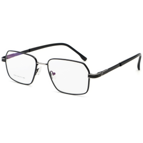 Оправа E 6304 c5
