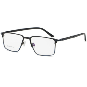 Оправа E 6317 c6